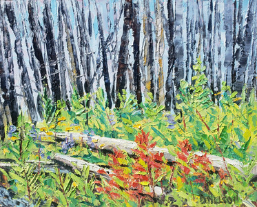 Wilderness Renewal
