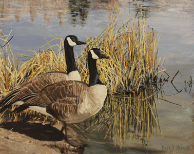 Home on the Pond