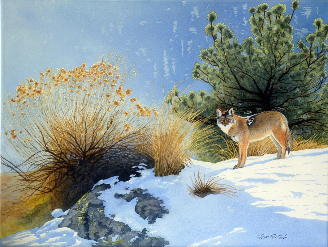 Spring Encounter