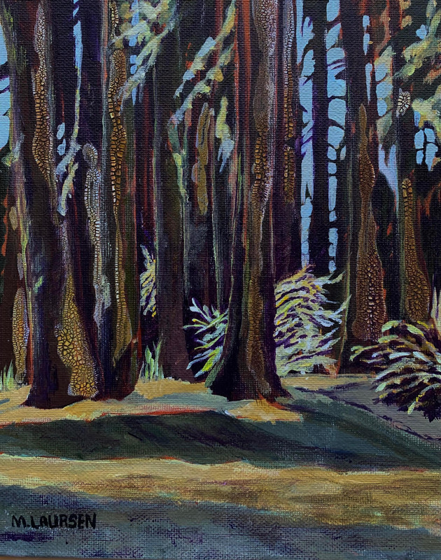 Evening Shadows
