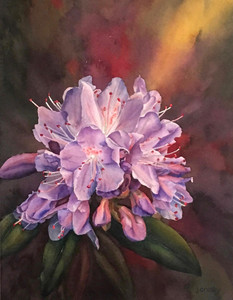 Purple Rhododendron