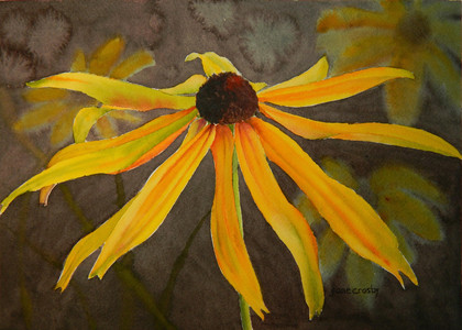 Black Eyed Susan