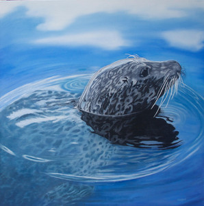 Harbour Seal