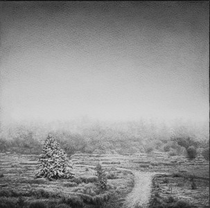 A QUIET WALK