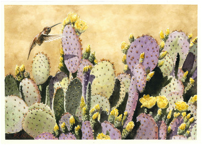 Cactus with Hummingbird