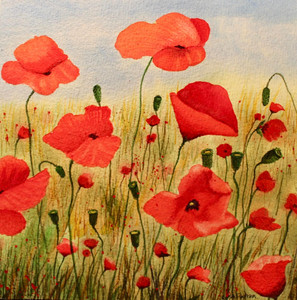 Poppies