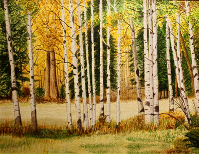 Aspen Trees