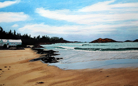 Tofino Beach Scene