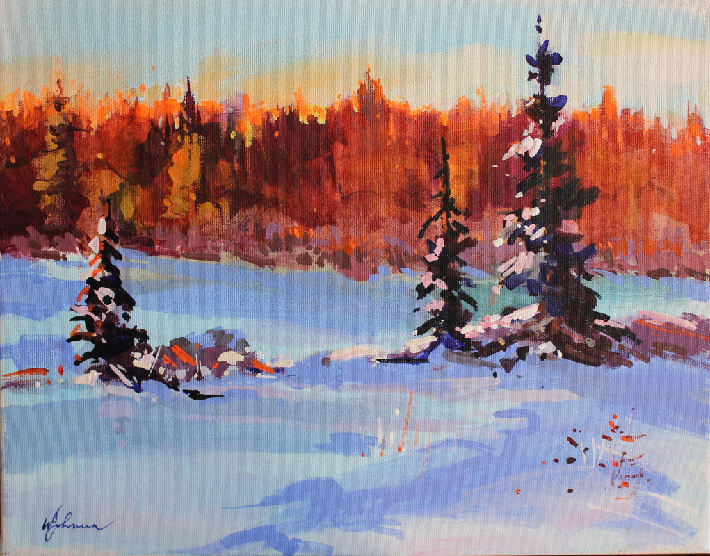 Snow covered Pasture 