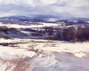 View #1