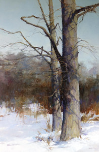 Winter Trees
