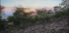 View #1