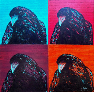Blackbird