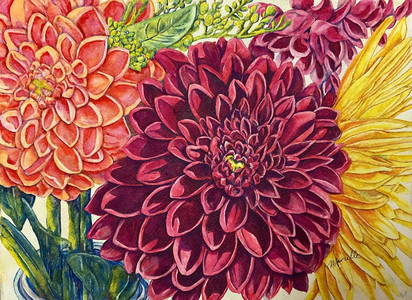 Dahlia Delight