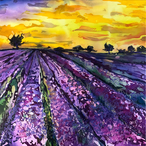 Field of  Lavender