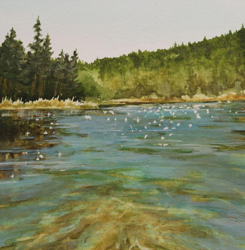 Mike Lake