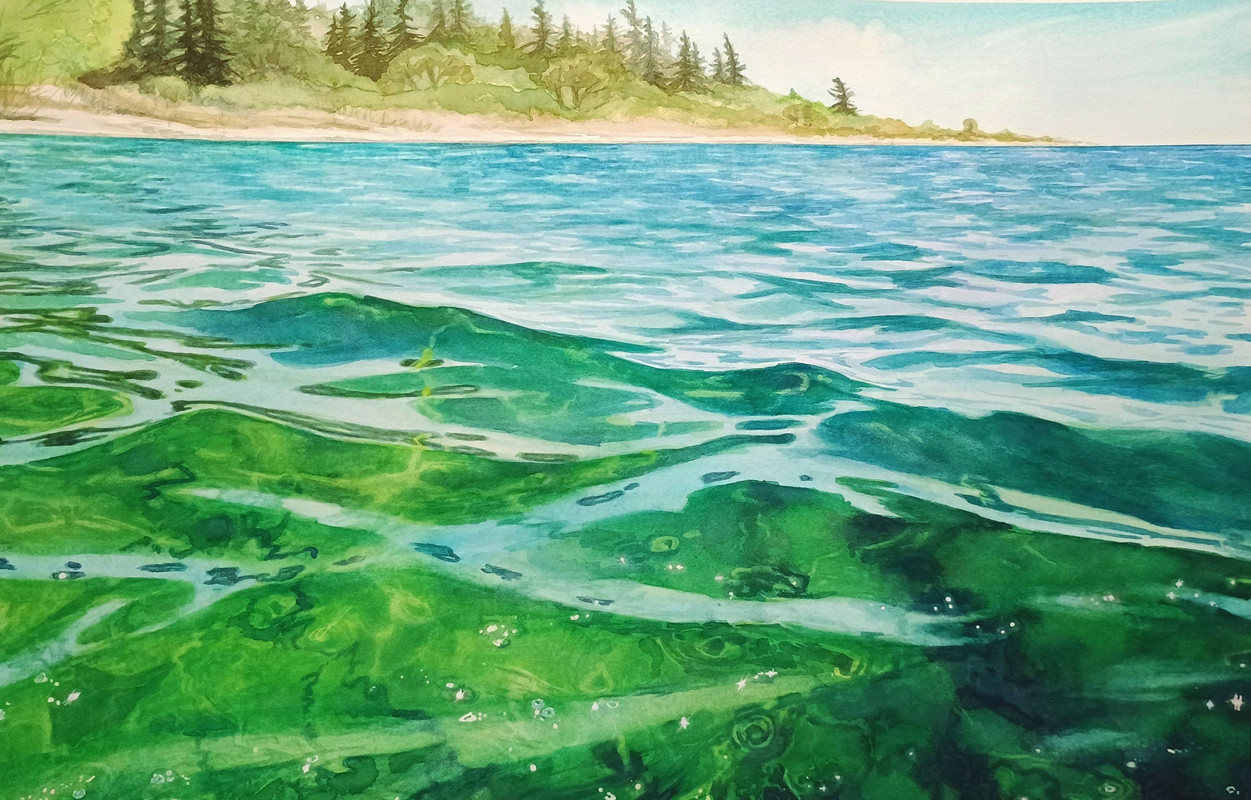 Approaching Tree Island