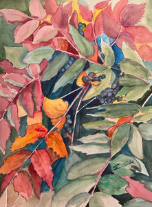 Darker side of Mahonia