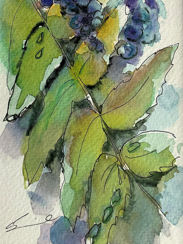 Mahonia