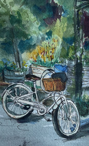 Bike and Garden