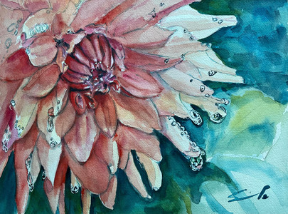 Dahlia after the Shower