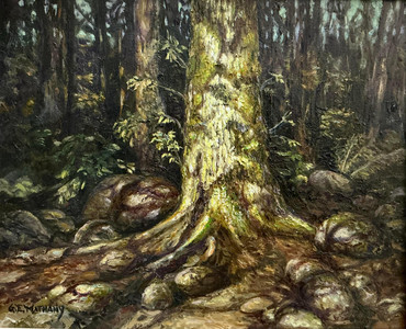Mossy tree in the sunshine