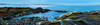 View #1