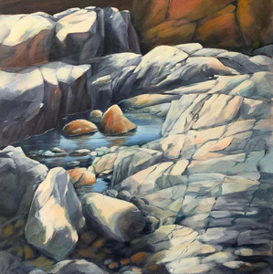 Pebbles in a Tide Pool