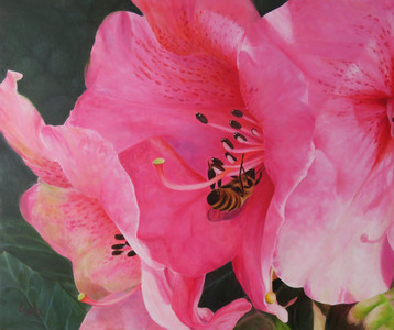 Bee My Rhodo