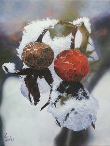 Winter Rose Hips