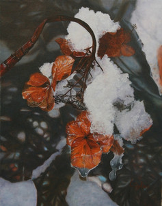 Winter Lace Hydrangea