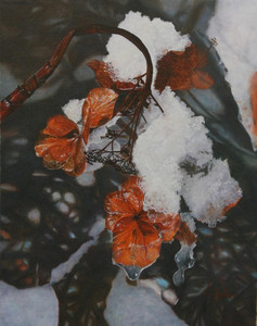 Winter Lace Hydrangea