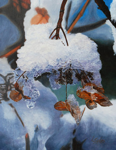 Winter Lace Hydrangea II