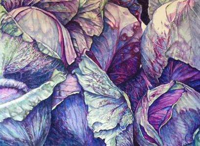 Purple Cabbage