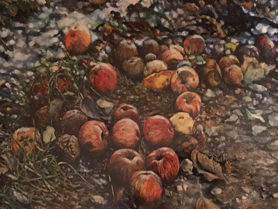 Fallen Apples