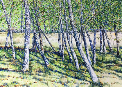 Birch Grove