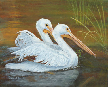 Duet in White (White Pelicans)