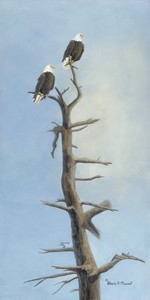 The Lookout (Bald Eagles)