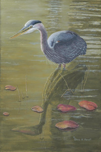 Stillness (Great Blue Heron)