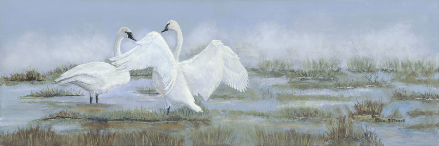 Wingbeats (Trumpeter Swans)