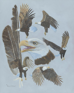 Eagle Spirit (Bald Eagle)