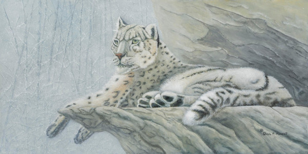 Ghost of the Mountains (Snow Leopard)