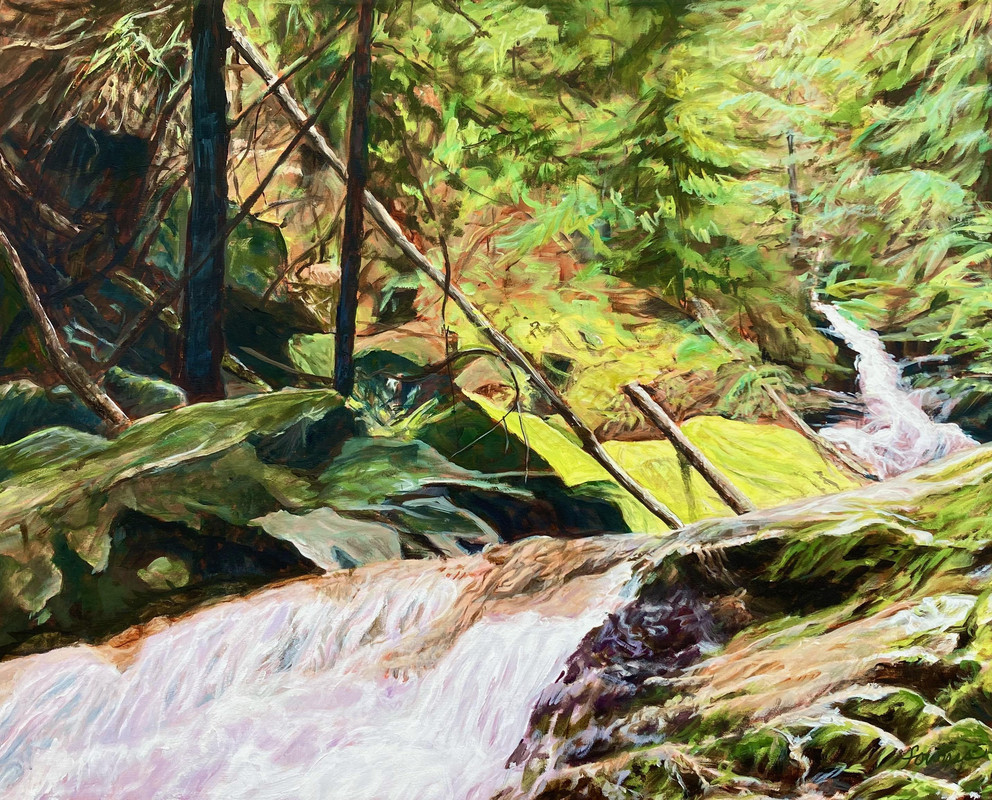 Wild Woods