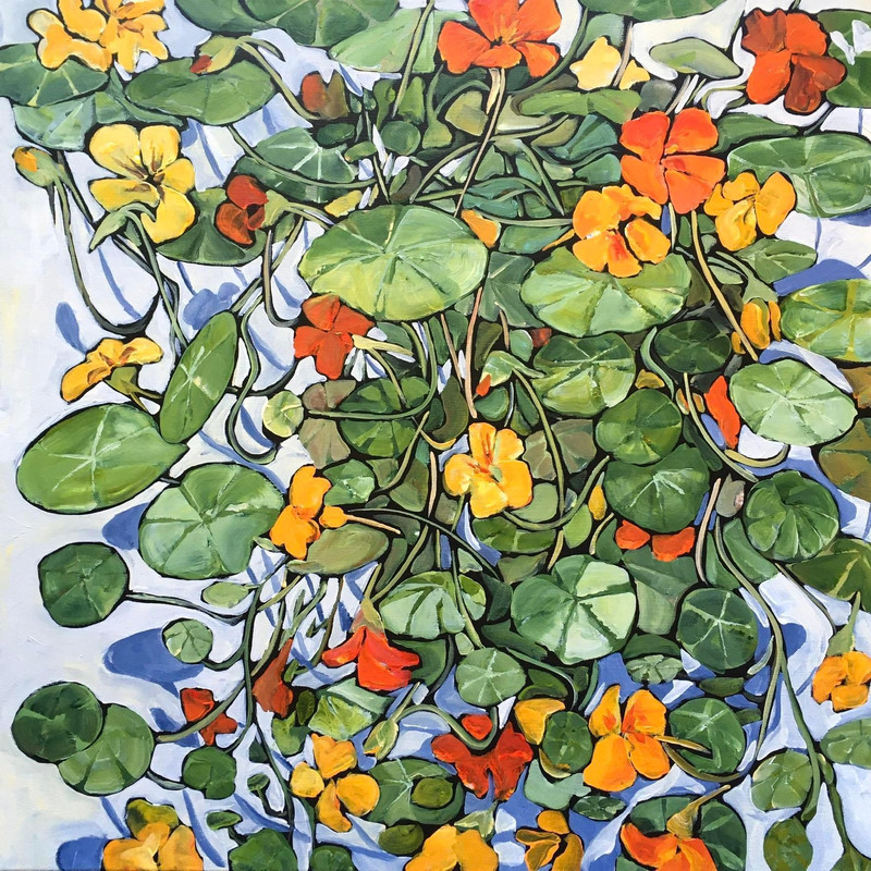 Nasturtiums