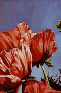 Gayle's Poppies