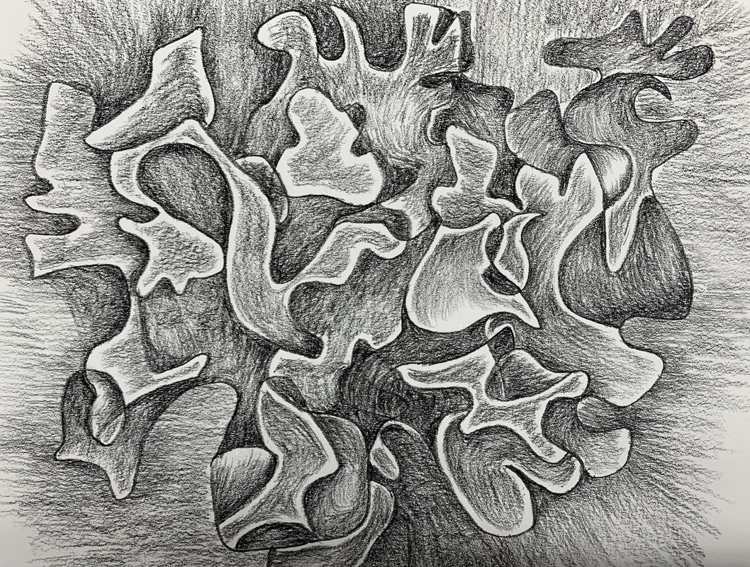 Lichen Abstraction