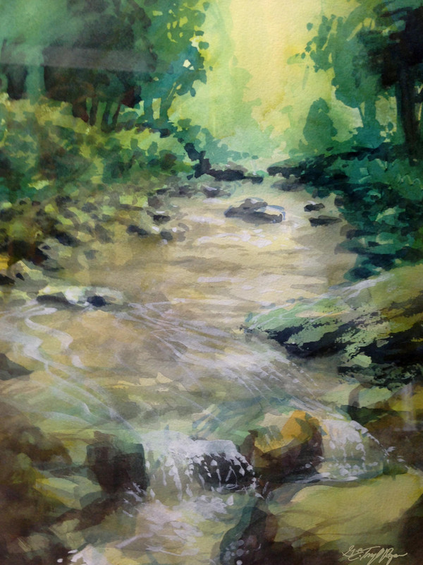 Little Falls on John's Creek