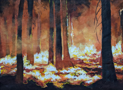 Forest on Fire