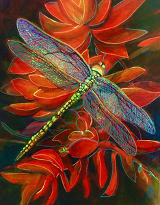 The Dragonfly