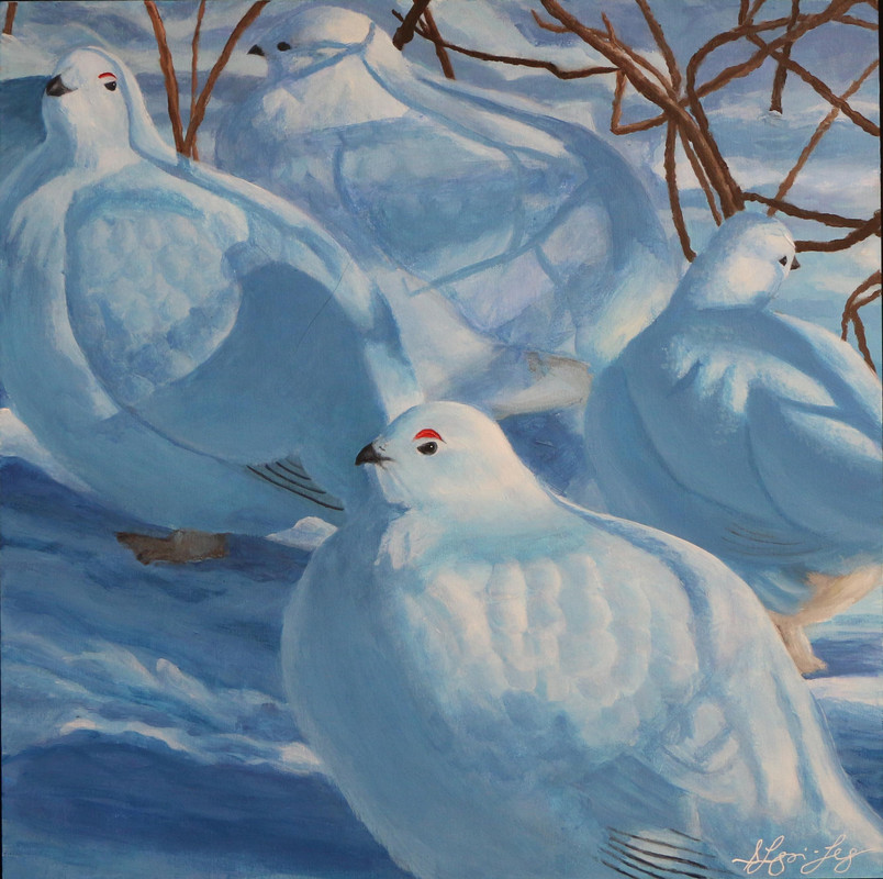 Ptarmigans hiding in willow